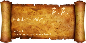 Pekár Pál névjegykártya